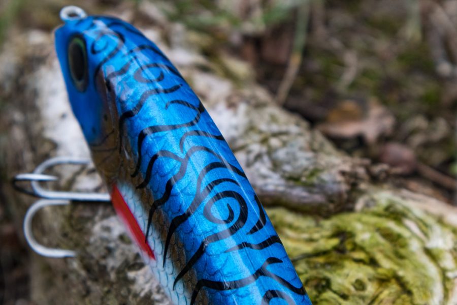 Venin - Maquereau bleu