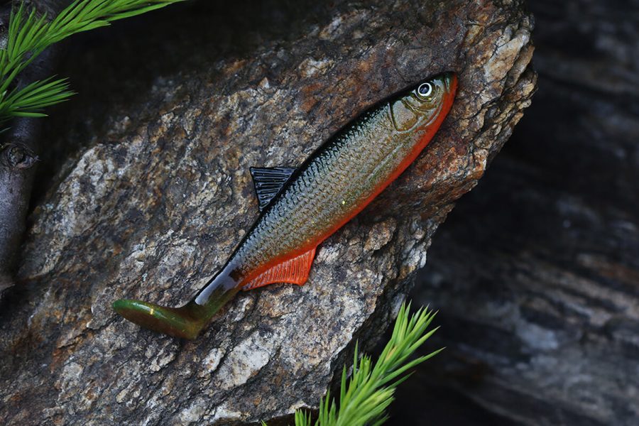 Ukleja 12 cm Gold Black