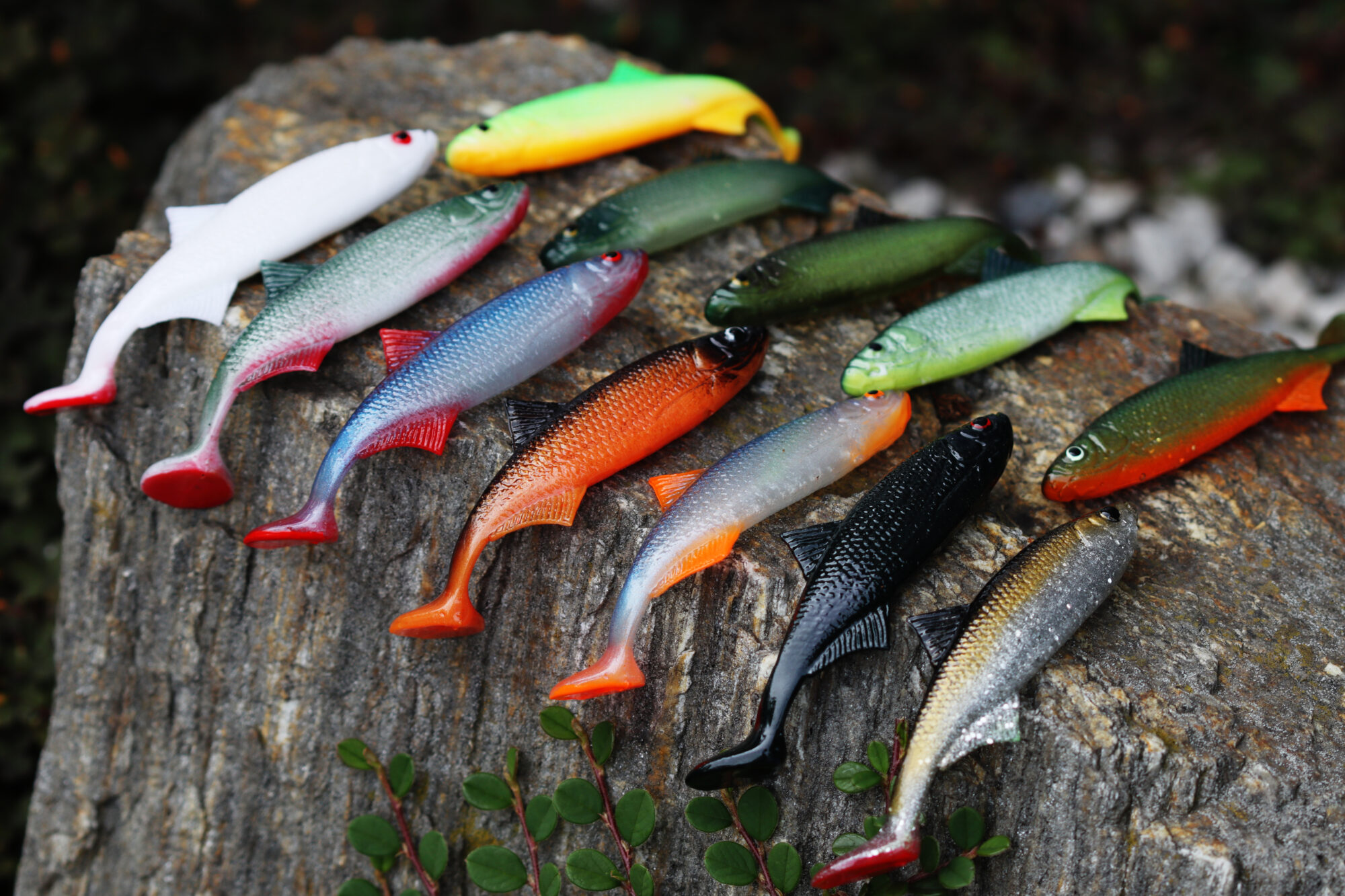 Ukleja 12 cm Gold Black