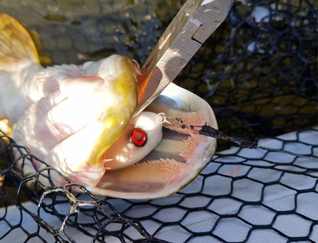 Gaspar Tail Bait 7cm przynęta z ogonem na szczupaka.