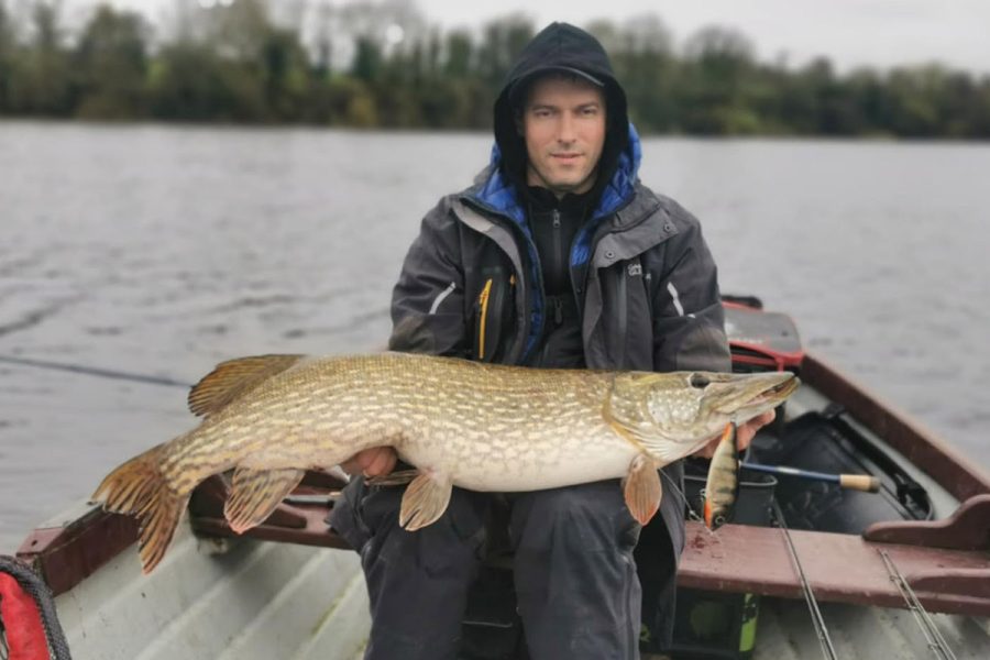 big-pike-champion-holo-pearch Perche Holo Champion