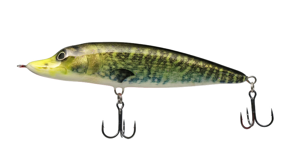 Babypike Esox