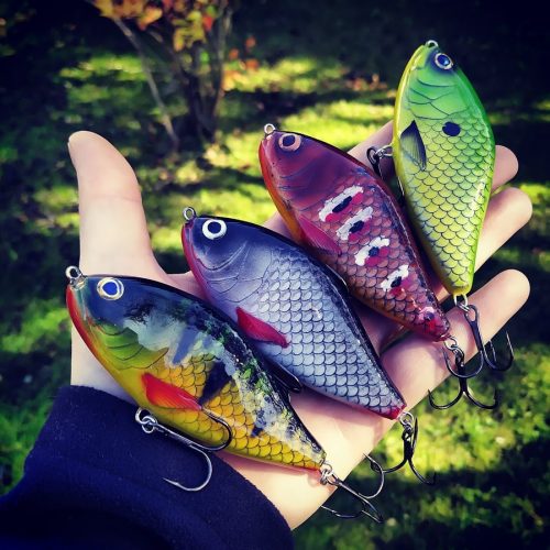 IMG_20191012_125753_988