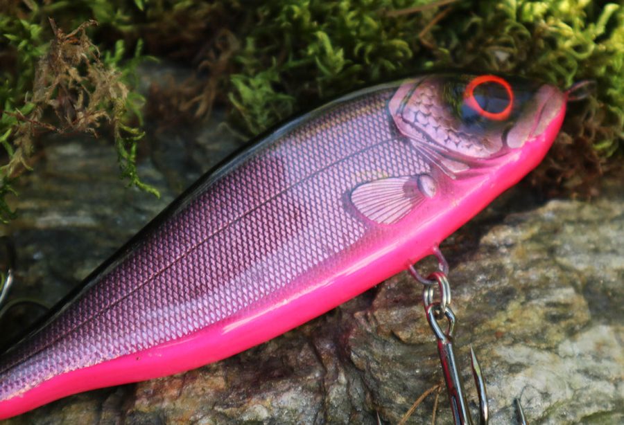 jerk-champion-_0004_Krzywe 1 kopia 10 Champion Pink Candy