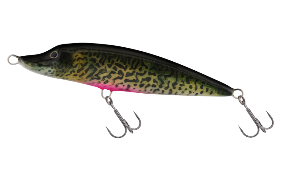 Babypike Musky Hybrid