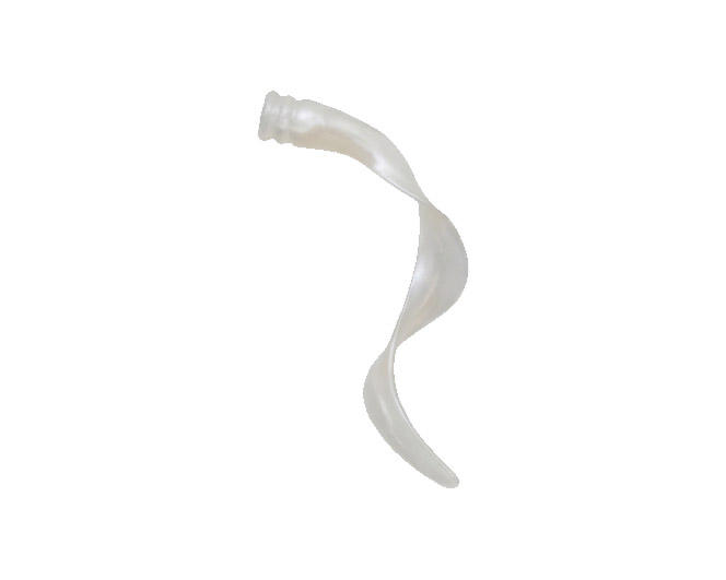 White Pearl - Spare Tail - Guppie & Gaspar