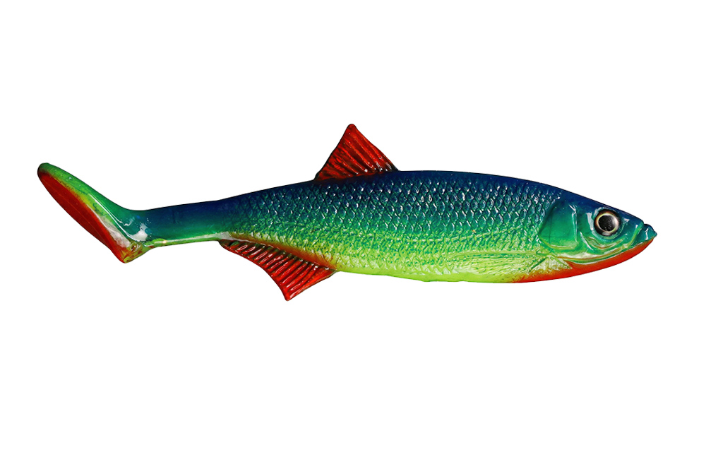 Ukleja - Citrus Roach Red