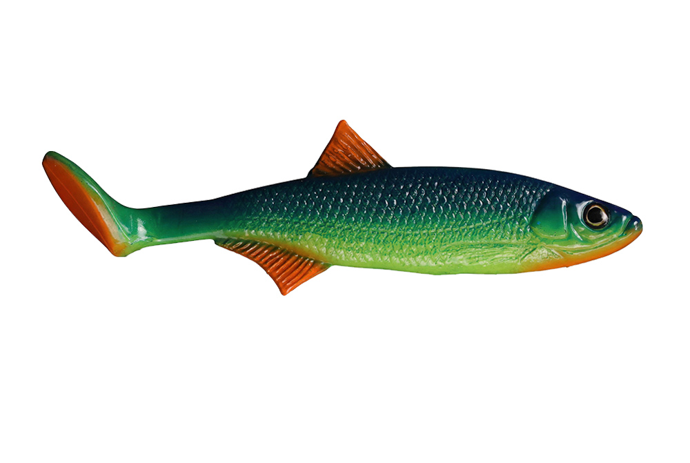 Ukleja - Citrus Roach