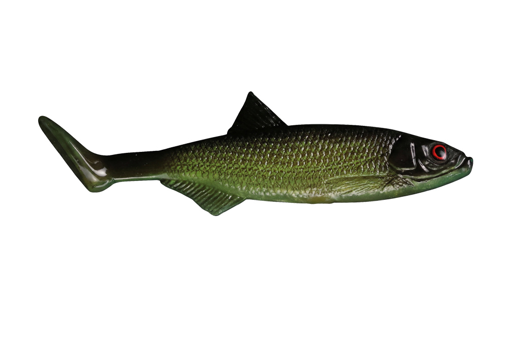 Ukleja - Shadow Roach