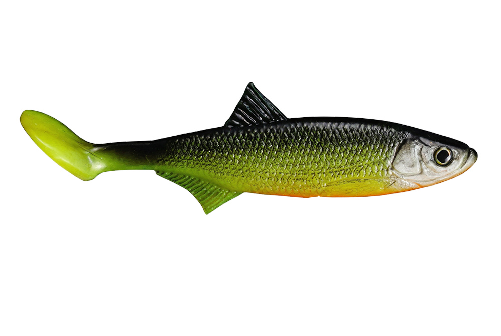 Ukleja - Chartreuse Roach